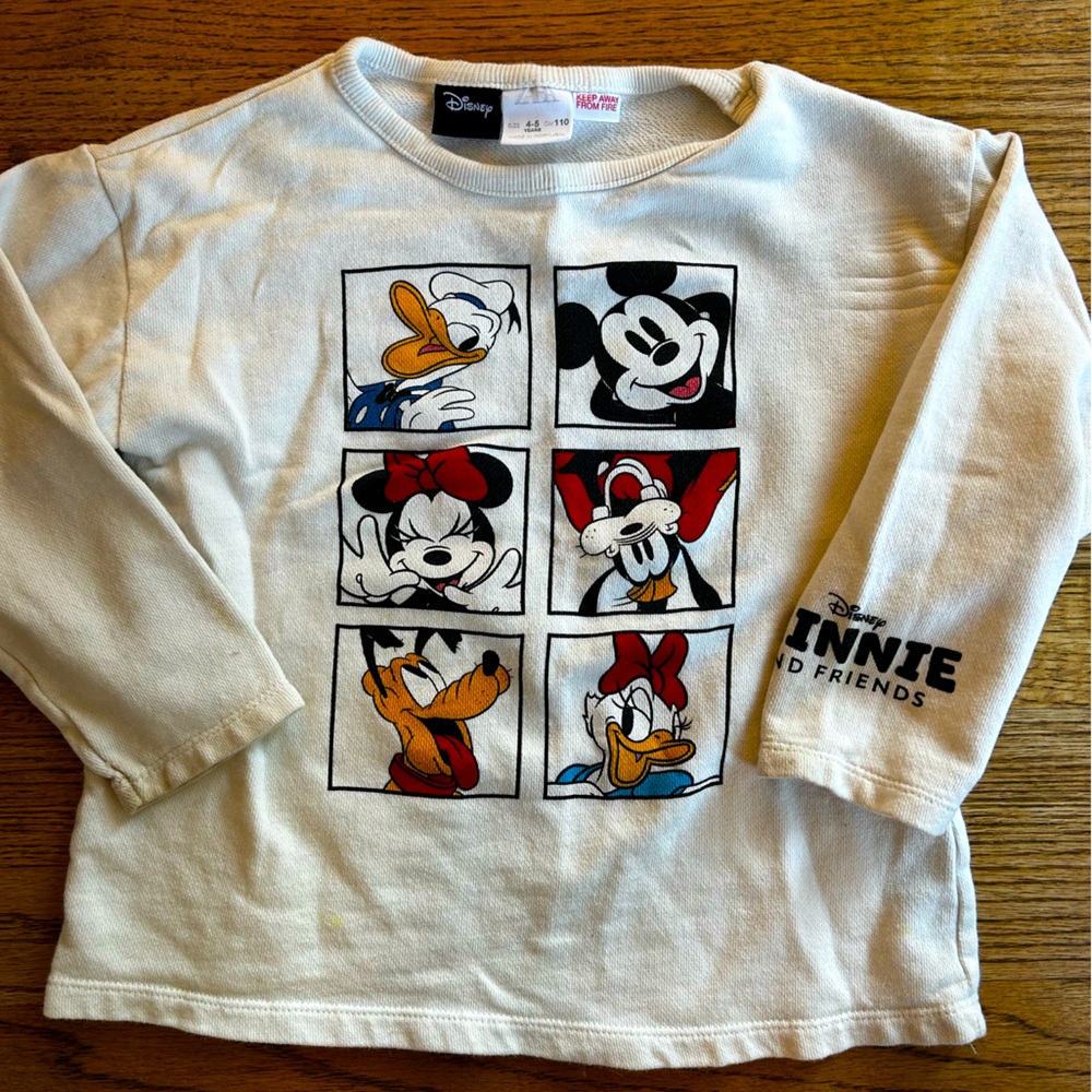 Zara x Disney Minnie and Friends top